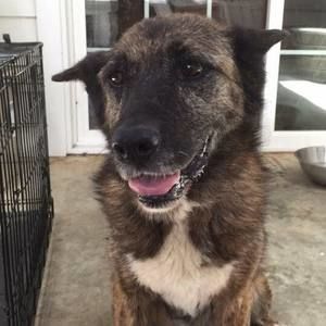 Meet your Posher, Marcella